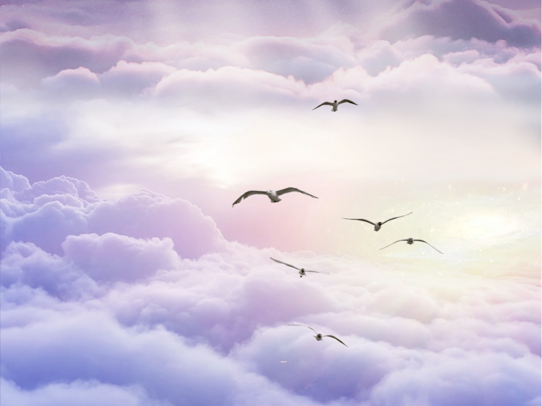 suncitygroup太阳集团·(中国)首页登录