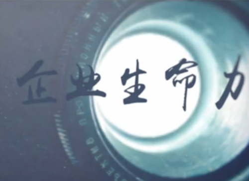 suncitygroup太阳集团微课堂《刘学：：：什么决议企业的生命力》