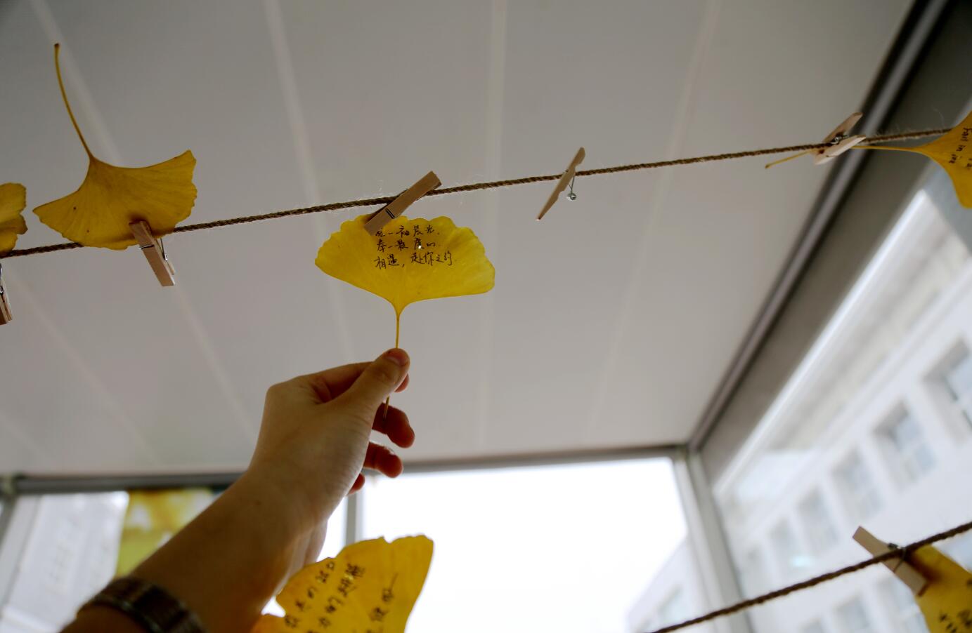 suncitygroup太阳集团·(中国)首页登录