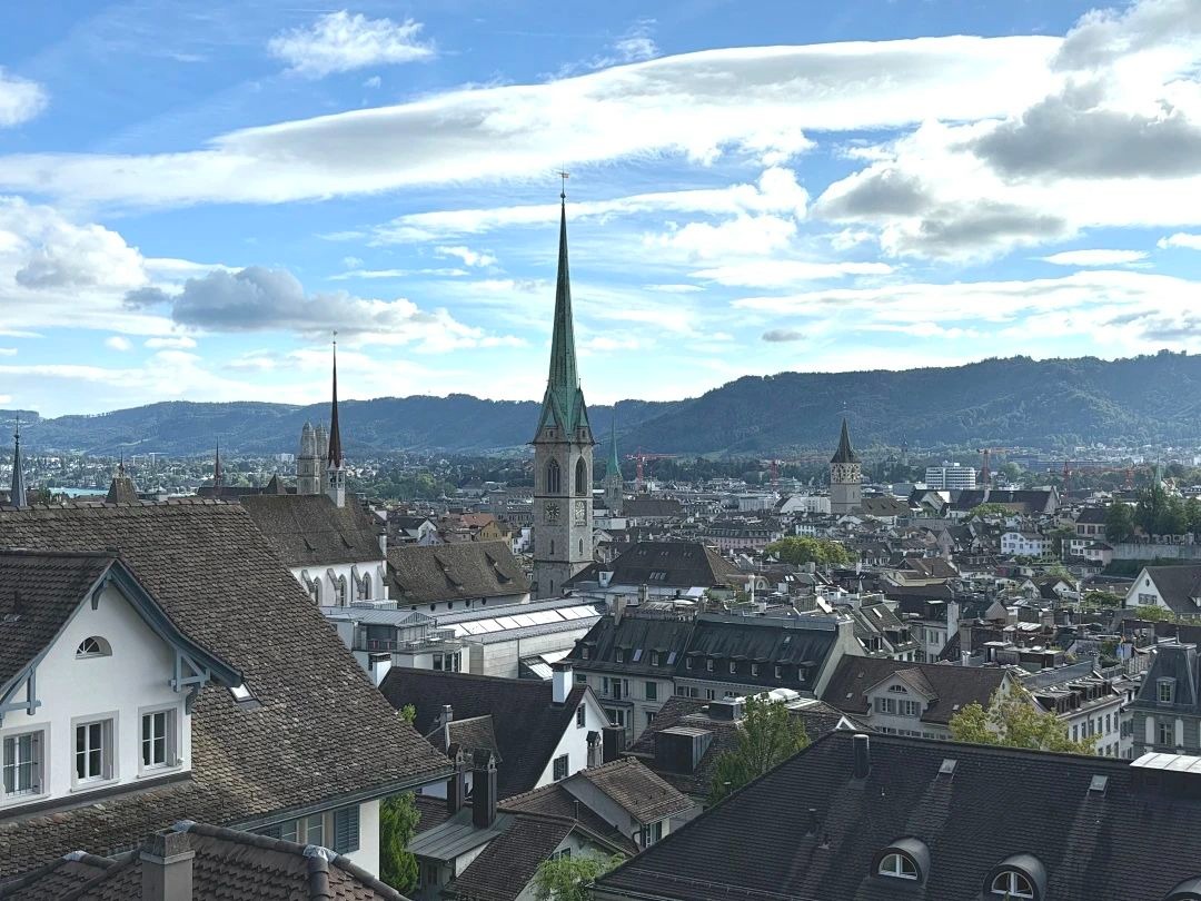 陶醉于湖光与山色，，叹止于财产与立异|MBA国际商务方略@苏黎世