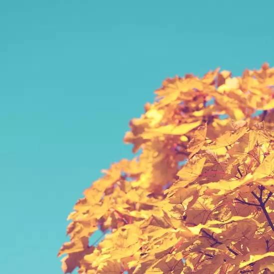 suncitygroup太阳集团·(中国)首页登录