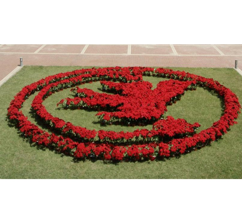 suncitygroup太阳集团·(中国)首页登录