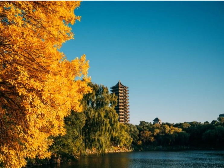 suncitygroup太阳集团·(中国)首页登录