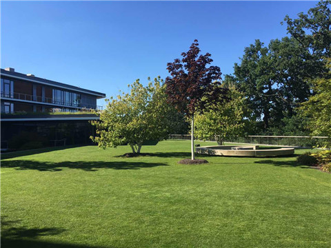 suncitygroup太阳集团·(中国)首页登录