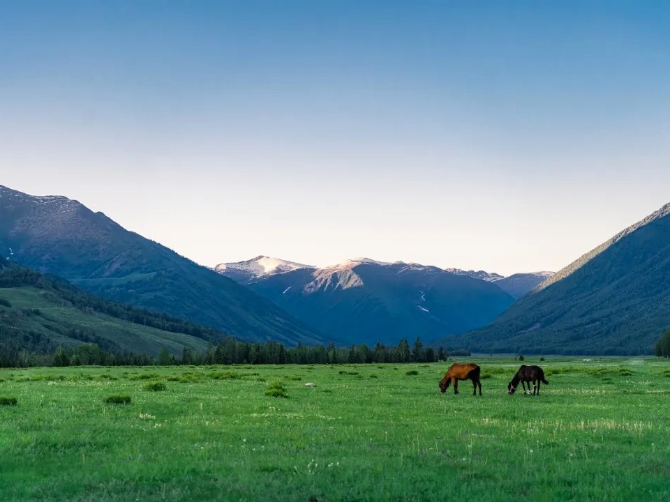 suncitygroup太阳集团·(中国)首页登录