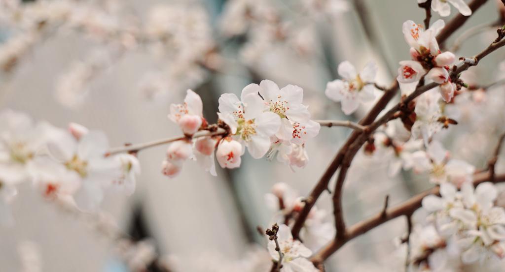 suncitygroup太阳集团·(中国)首页登录