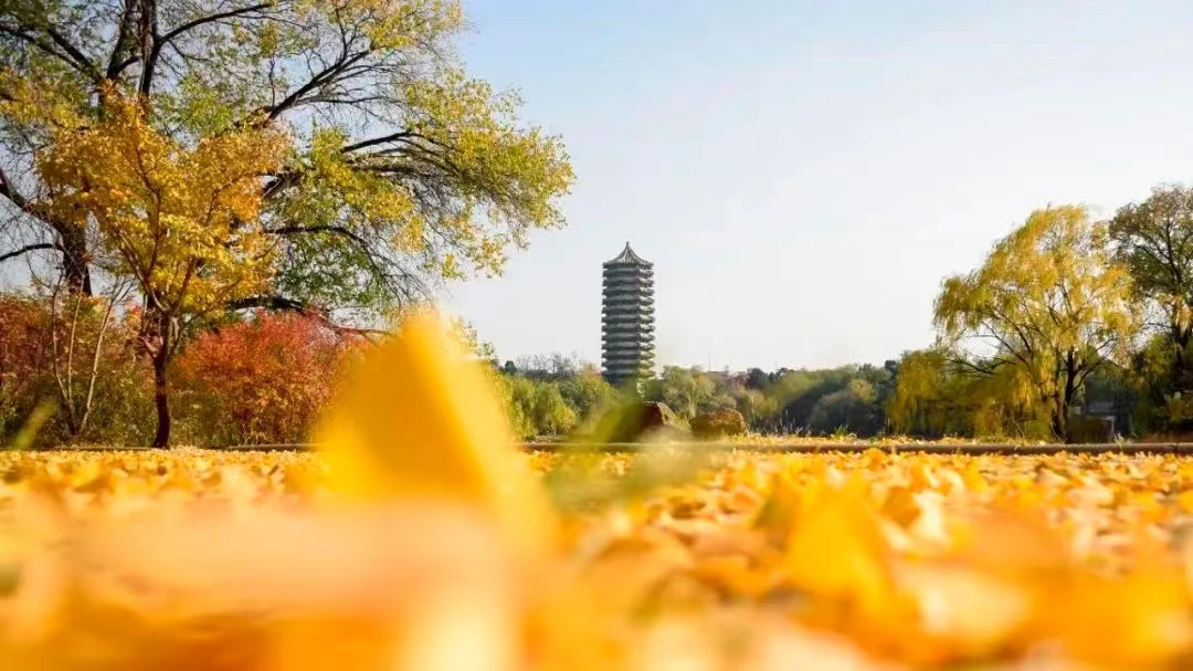 suncitygroup太阳集团·(中国)首页登录