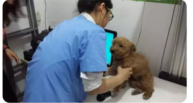 suncitygroup太阳集团·(中国)首页登录