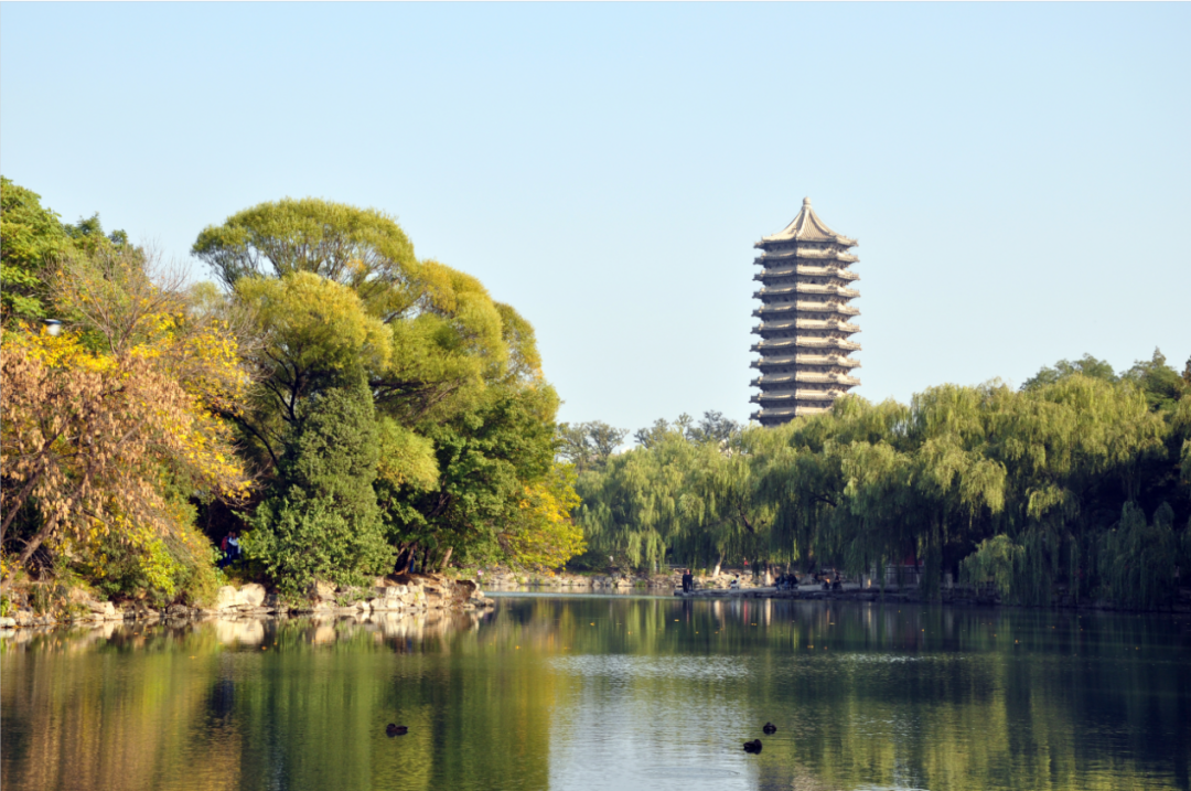 A9C19E9EB0AF5DFF783A41A661F_1DAF02E8_12B0FB