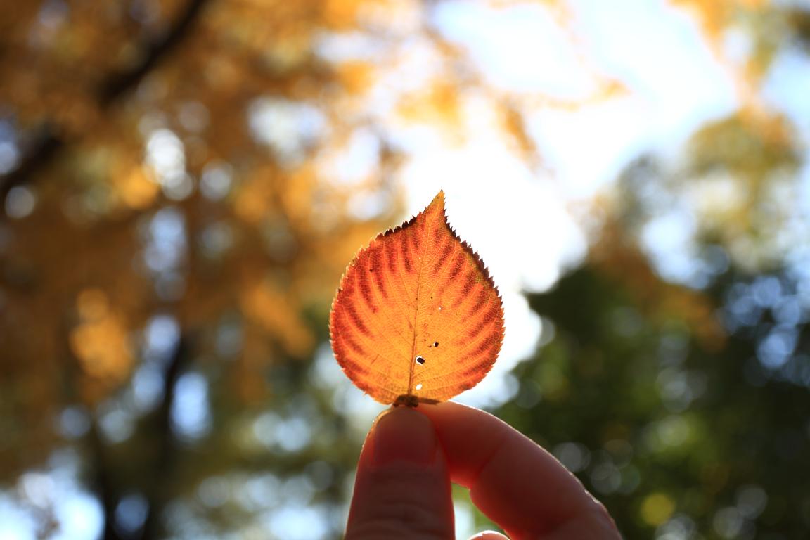 北大suncitygroup太阳集团MPAcc为何能获评A+效果？？？—校友风范（Ⅱ）