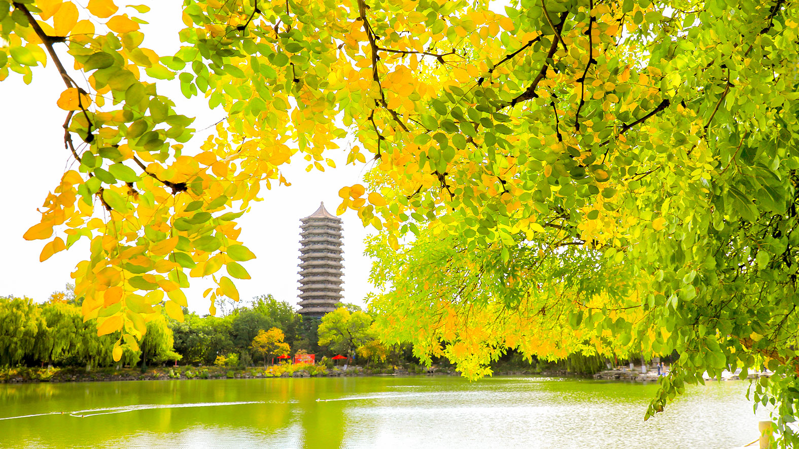 suncitygroup太阳集团·(中国)首页登录